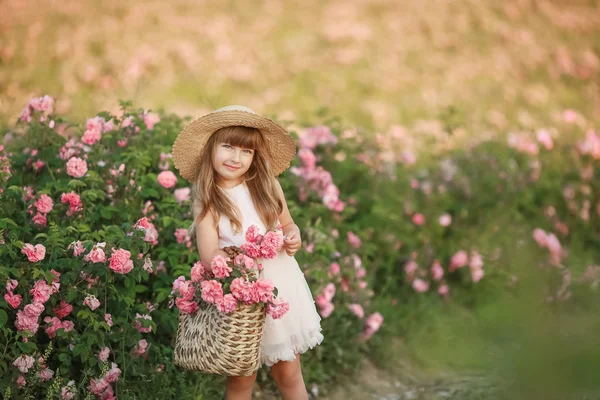 A little girl with beautiful long blond hair, dressed in a light dress and a wreath of real flowers on her head, in the garden of a tea rose — Stock Photo, Image