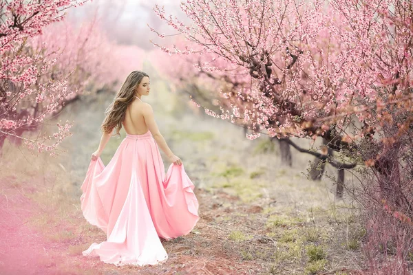 A young princess walks in a blooming garden. Girl in a luxurious pink dress with a train. Fashionable toning. — Stock Photo, Image