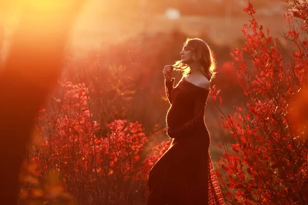 Femme enceinte se détendre et profiter de la vie dans la nature — Photo