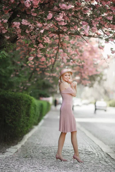 Young girl of the European appearance summer in the Park day in the rays of the setting sun, the flare, toned Royalty Free Stock Images