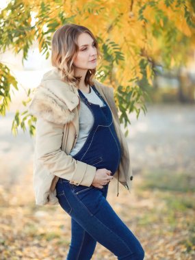 Bir pregnat Anne parkta yürüyüş sırasında çocuğuna sarılma