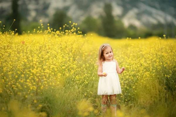 Egy boldog család: anya fiatal lány kéz a kézben áll a zöld mezőben a háttérben a tűlevelű erdők és hegyek. — Stock Fotó