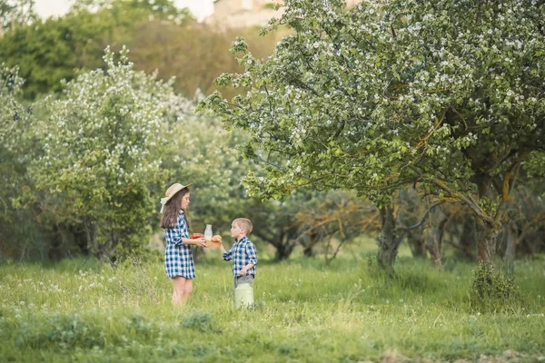 Een lachende kinderen broer en zus spelen in een bos — Stockfoto