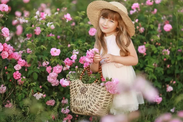 Маленька дівчинка в саду чайної троянди — стокове фото
