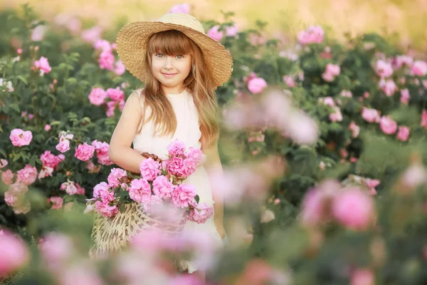 A little girl in the garden of a tea rose Stock Photo