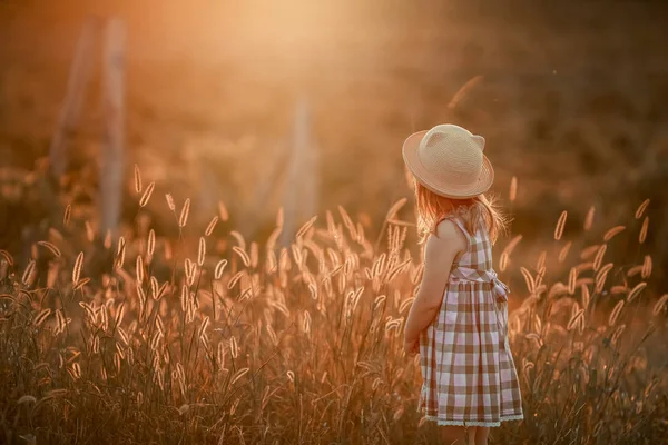 Una feliz historia familiar caminando. madre y bebé abrazándose en un prado flores amarillas en la naturaleza en verano —  Fotos de Stock