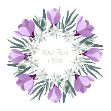 Edelweiss ve mor çiğdemler (safran çiçekleri (tebrik kartı) Davetiyeli)