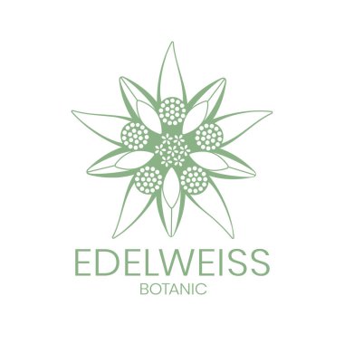 Edelweiss. Edelweiss flower logo on white background