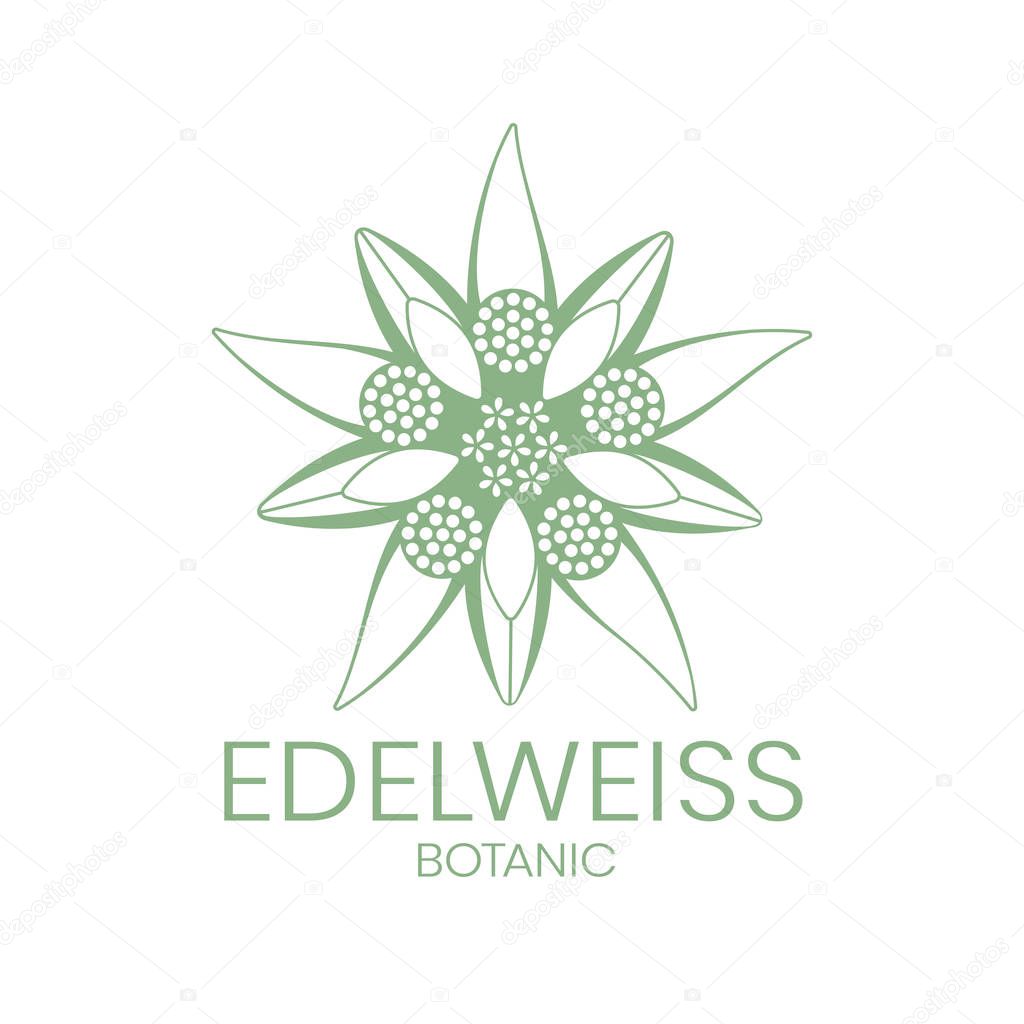 Edelweiss. Edelweiss flower logo on white background