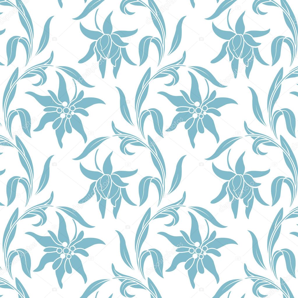 Edelweiss. Botanical pattern with edelweiss flowers
