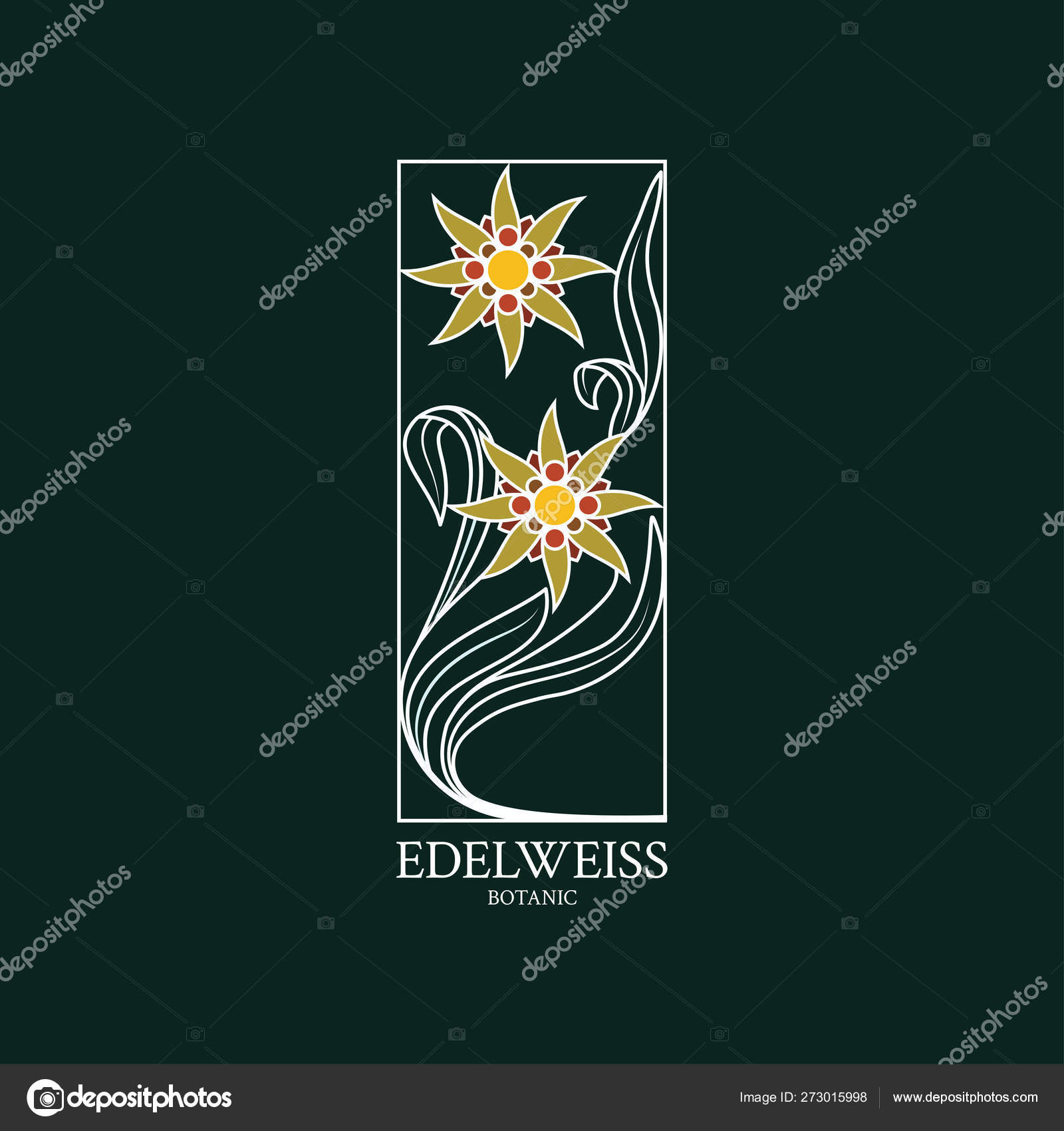Edelweiss Logo Flower Design Logo Hand Drawn Flower Edelweiss Stock Vector Image By C Dinatychynska