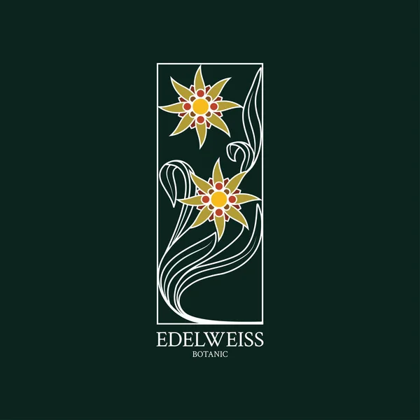 埃德威斯标志 标志的花卉设计与埃德威斯手绘的花 — 图库矢量图片