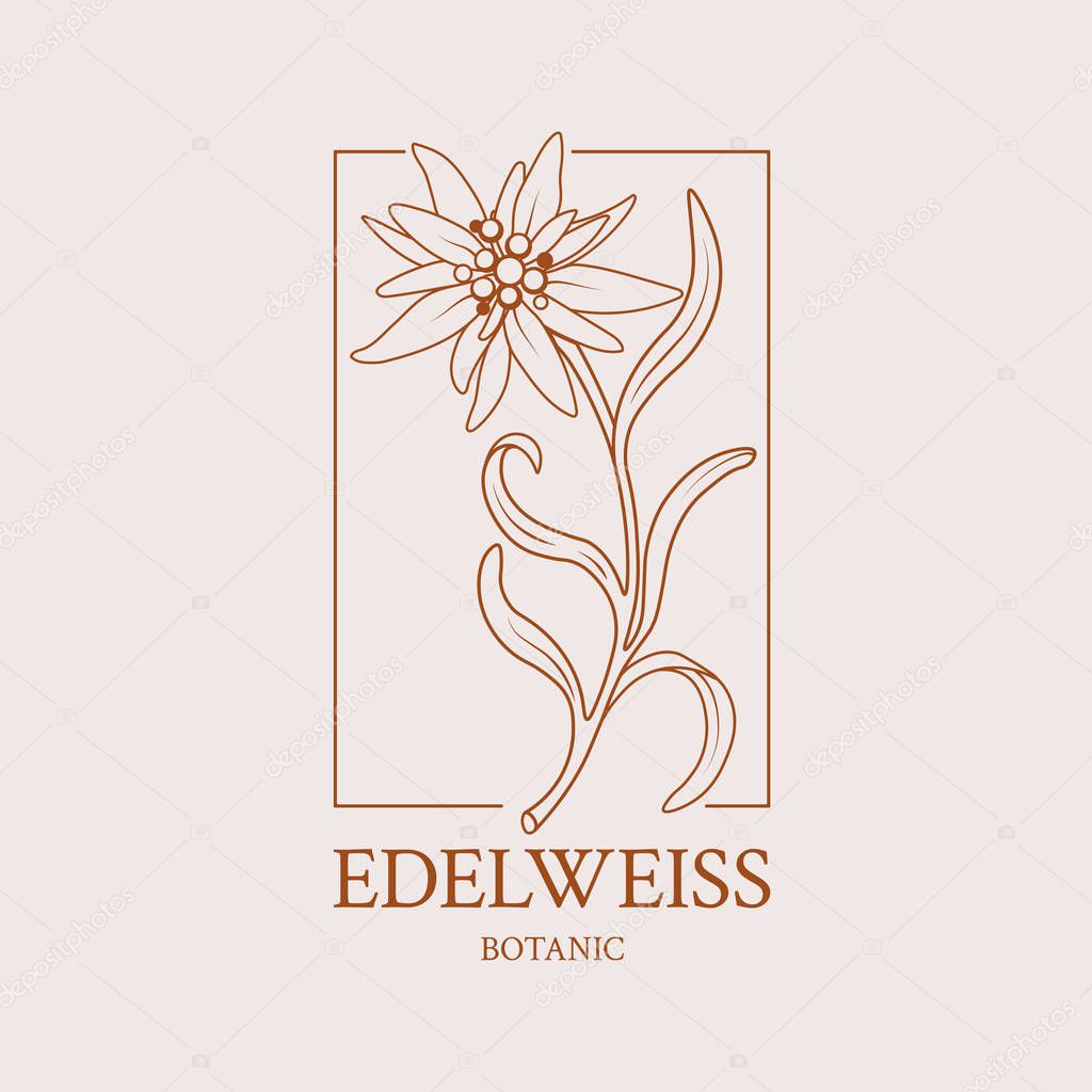 Flower design of the logo with a hand-drawn flower of Edelweiss