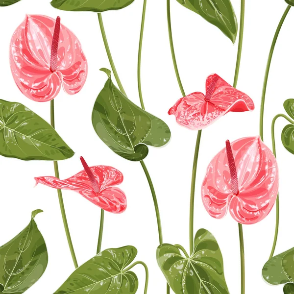 Anthurium Naadloos Bloemenpatroon Met Roze Glanzende Bloemen Anthurium Bladeren Tropisch — Stockvector