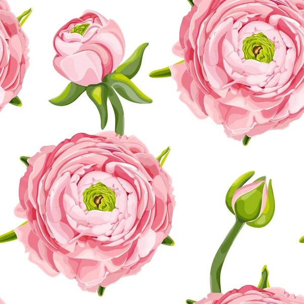 Ranunculus Boterbloem Naadloos Bloemenpatroon Met Roze Bloemen Ranunculus Toppen Stock — Stockvector