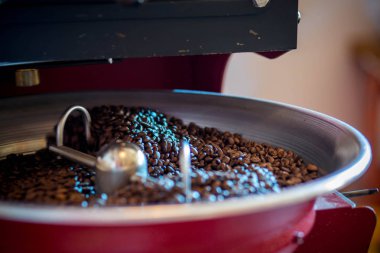 Taze kahve çekirdekleri - taze kavrulmuş soğutucu profesyonel makine iplik