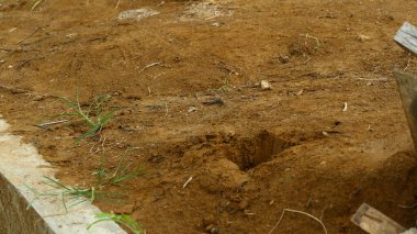 Kahverengi Toprakta Küçük Delik Kazısı