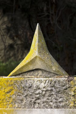 1936 'da İspanya iç savaşında faşizme karşı savaşan Uluslararası Tugayların sembolü..