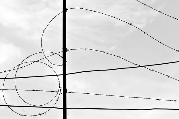 Detail of a barbed wire sky at background in black and white.