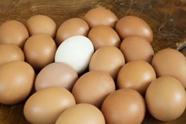 Diğerlerinden farklı olan bir grup aynı tavuk yumurtası. Bu kütle ile çelişen bireylerin benzersizliğini gösterir. 