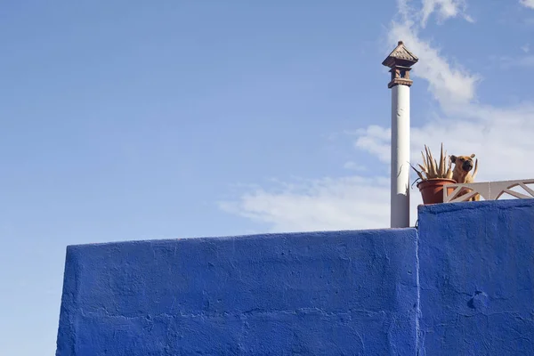 Blue facade with a dog at the terrace outdoor