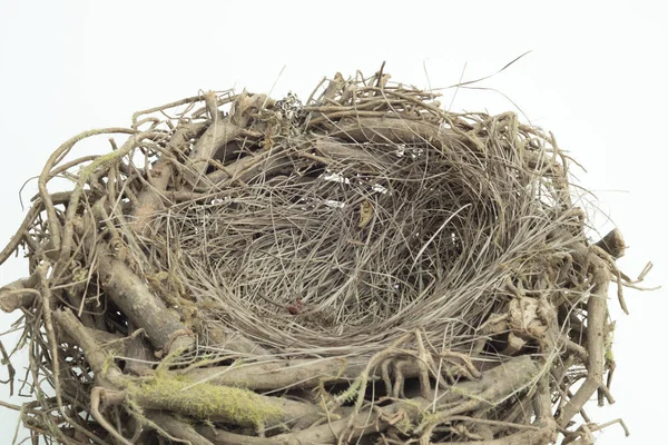 Détail Nid Oiseaux Fait Avec Des Branches Bois Avec Fond — Photo