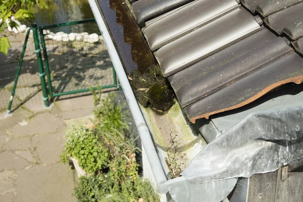 Detail Jammed Pipe Due Obstruction Caused Moss Balls Falling Roof — Stock Photo, Image