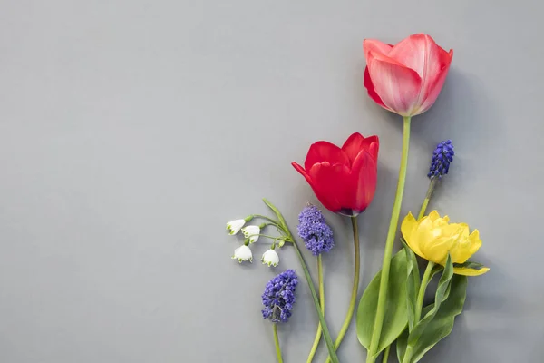 Grup Olarak Lale Lily Vadi Muscaria Bahar Mevsimlik Çiçeklerin Metin Telifsiz Stok Fotoğraflar