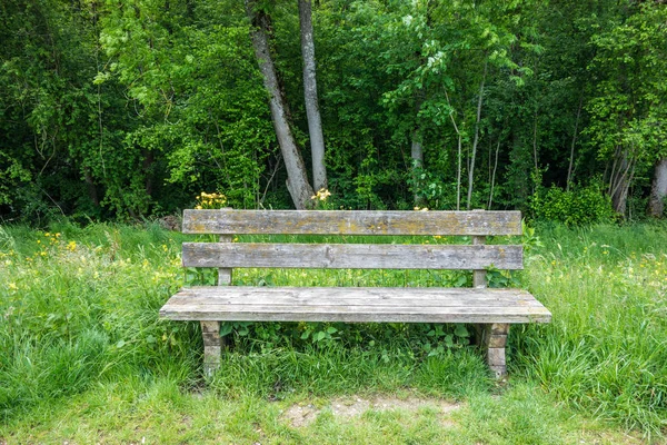 bench for rest between trees, summer day