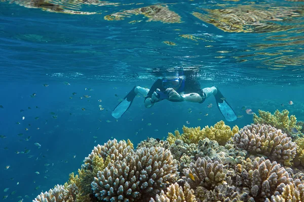 Kadın, mercanlar ve balıklarla sualtı manzarasının fotoğrafını çeker.