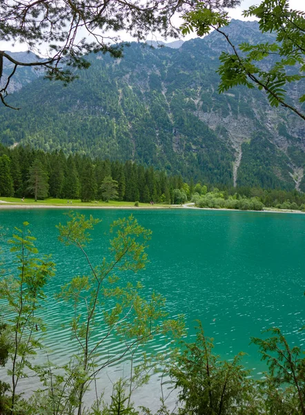 Dağların ve ormanların olduğu bir çevrede Alp Gölü
