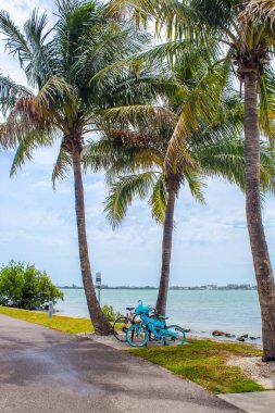 Kuş Anahtar Parkı - Sarasota Florida