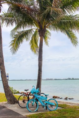 Kuş Anahtar Parkı - Sarasota Florida
