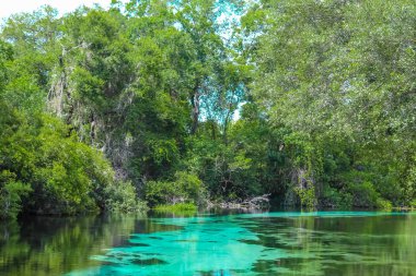 İnanılmaz Mavi Weeki Wachee Nehri