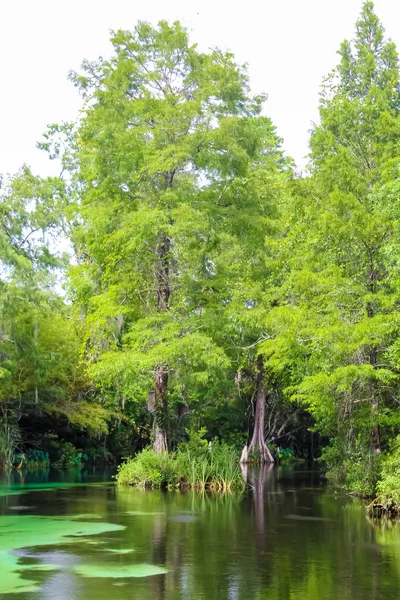 Weeki Wachee Springs Florida — Stock Photo, Image