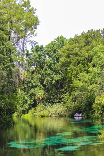 Tavaszi fed Weeki Wachee folyó Floridában — Stock Fotó