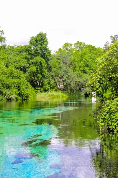 Blue Weeki Wachee Srpings River — Stock Photo, Image