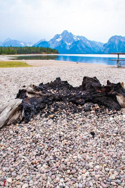 Jackson Lake Swim Beach Fire Pit