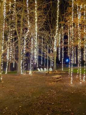 Biltmore Malikânesi Antler Tepesi Noel Işıkları