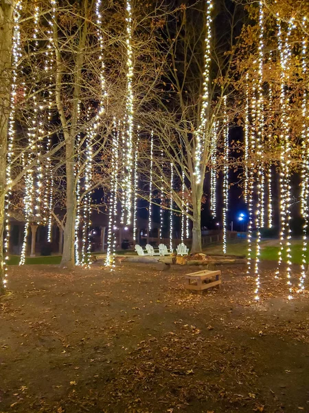 Biltmore Nieruchomości Antler Hill Christmas Lights — Zdjęcie stockowe