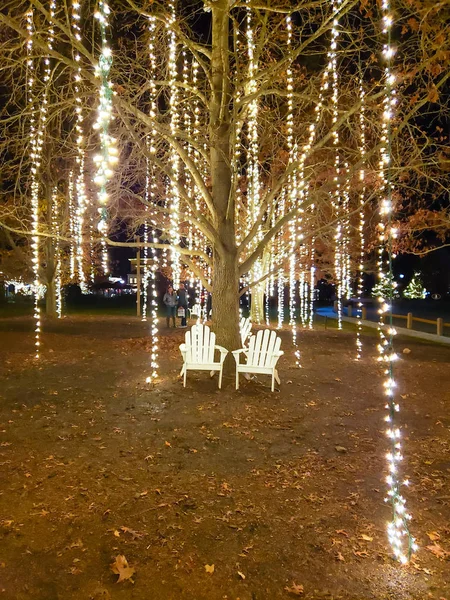 Biltmore Estate Kerstverlichting Stockfoto