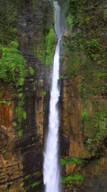 Doğu Java, Endonezya 'daki tropikal yağmur ormanlarıyla çevrili, yemyeşil bir kanyona doğru yüksek bir uçurumdan dökülen manzaralı şelale manzarası..