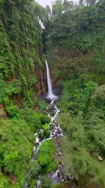 Sinematik FPV insansız hava aracı, Endonezya 'nın Doğu Java kentindeki tropikal yağmur ormanlarıyla çevrili, yüksek bir uçurumdan yemyeşil kanyona atlarken görüntülendi..