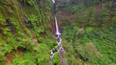 Sinematik FPV insansız hava aracı, Endonezya 'nın Doğu Java kentindeki tropikal yağmur ormanlarıyla çevrili, yüksek bir uçurumdan yemyeşil kanyona atlarken görüntülendi..