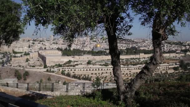 オリーブ山からエルサレムイスラエルを見下ろす映像 イスラエル 歴史などとのあらゆるプロジェクトに最適 — ストック動画