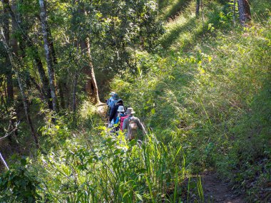 Chiang Mai ,Th - 21 Ocak: Turistler Chia boyunca yürüyor