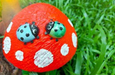 Amnat Charoen, Tayland - 4 Temmuz 2020: Kırmızı mantara tünemiş yeşil ve mavi uğurböceği bahçesindeki çömlek.