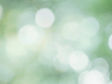 Güneş ışığındaki yaprakların bulanık arkaplanı beyaz bokeh