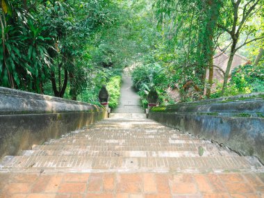 Wat Umong 'daki eski beton merdivenlerin iki tarafında da yosun var. Aşağısı büyük yeşil ağaçlarla dolu..