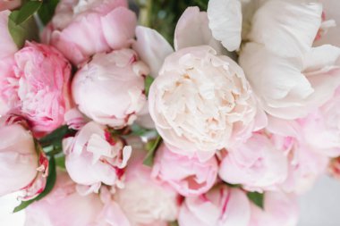 Cam vazo içinde sunulan güzel çiçekler. Beyaz ve pembe peonies güzel buket. Çiçek kompozisyon, gün ışığı. Yaz duvar kağıdı. Pastel renkler